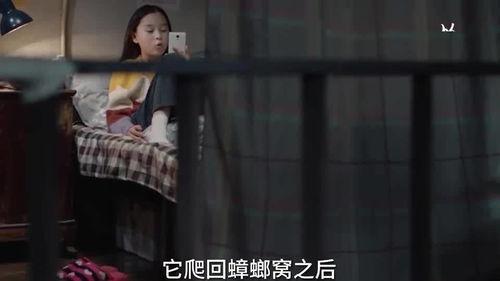 台湾姐姐爆料视频大全集,揭秘娱乐圈幕后真相 第1张 台湾姐姐爆料视频大全集,揭秘娱乐圈幕后真相 第1张